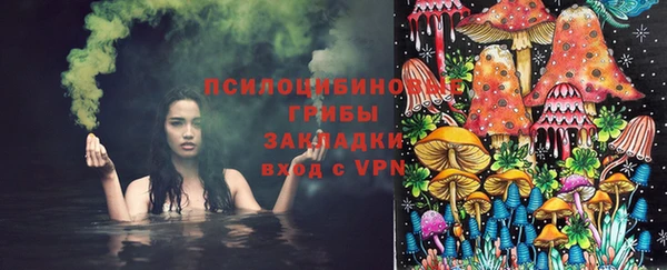 скорость Алзамай