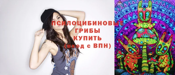 скорость Алзамай