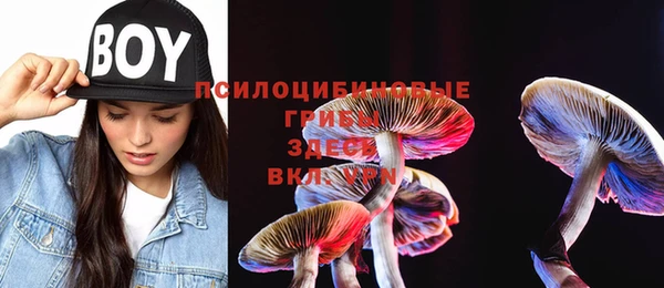 apvp Ивантеевка